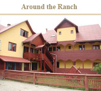 around-the-ranch-2.jpg